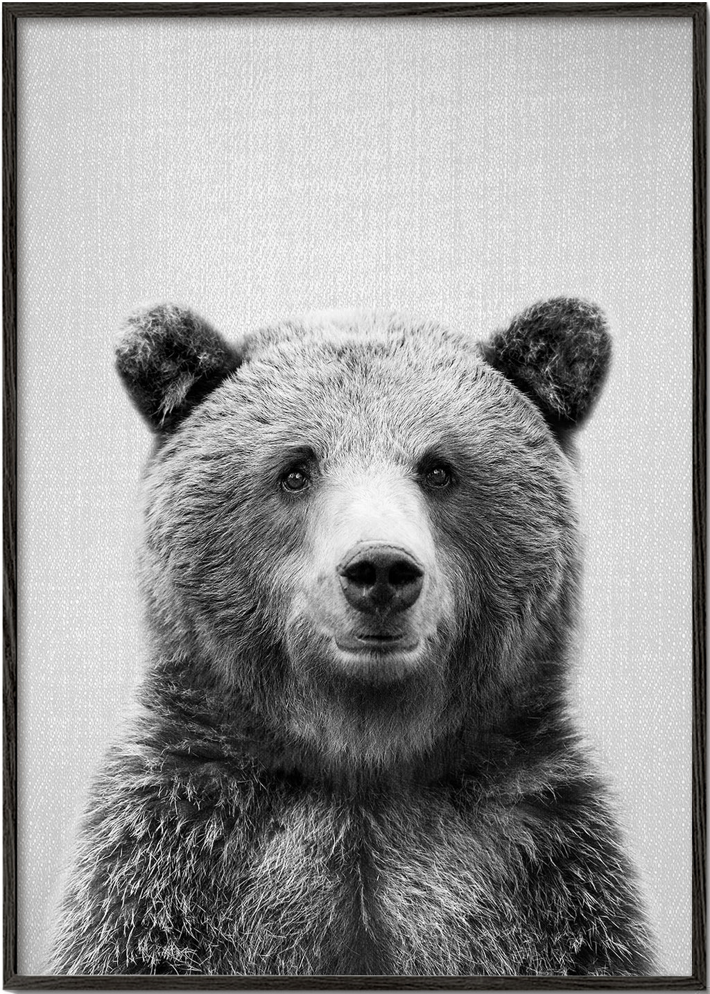 Retrato de urso em preto e branco