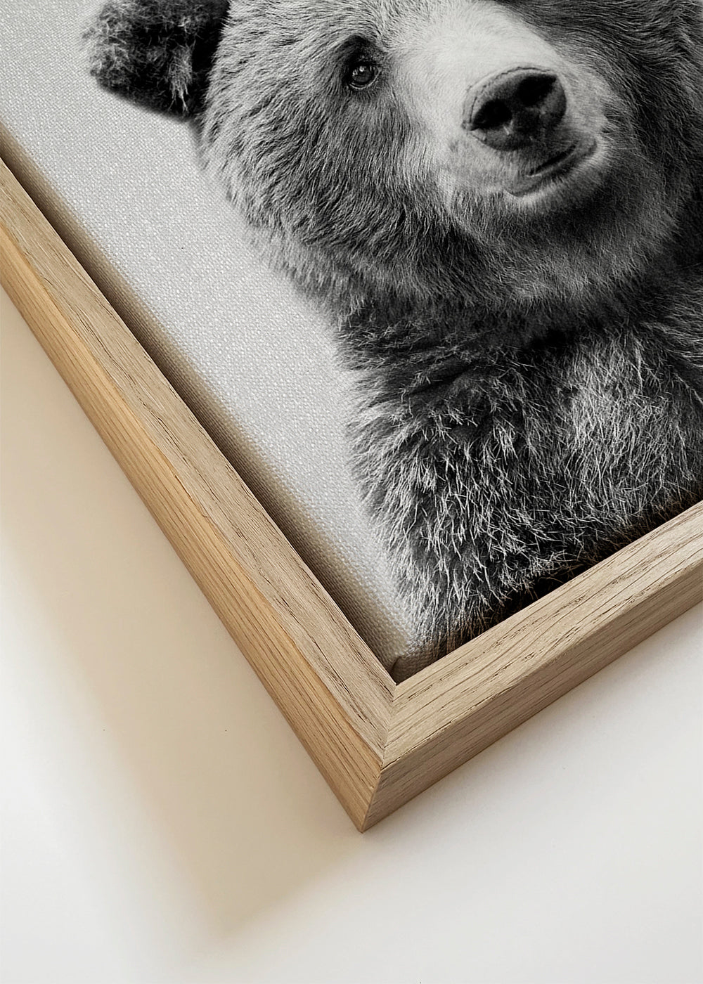 Retrato de urso em preto e branco