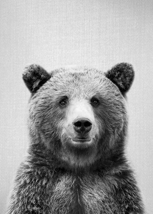 Retrato de urso em preto e branco