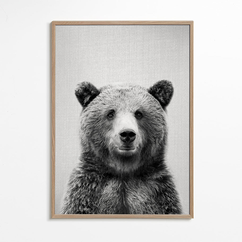 Retrato de urso em preto e branco