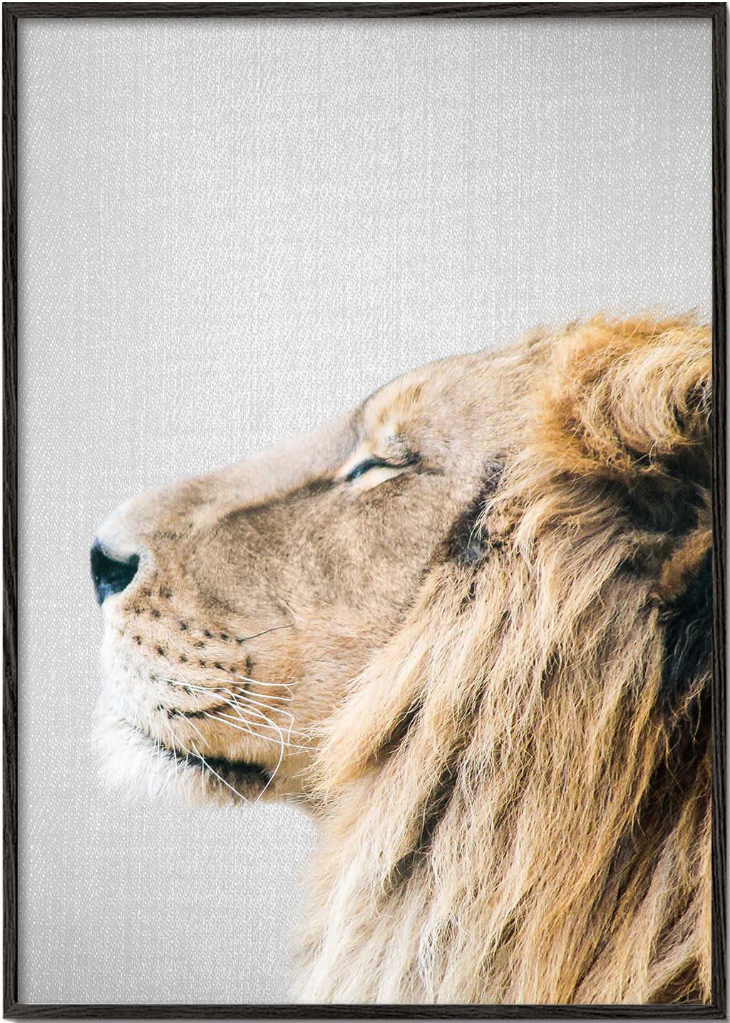 Quadro retrato de leão
