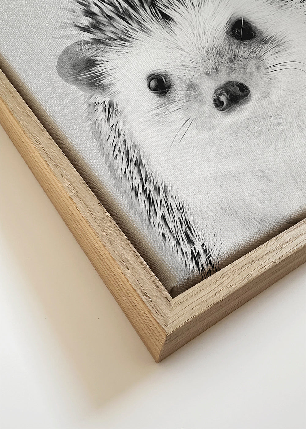 Quadro ouriço retrato em preto e branco