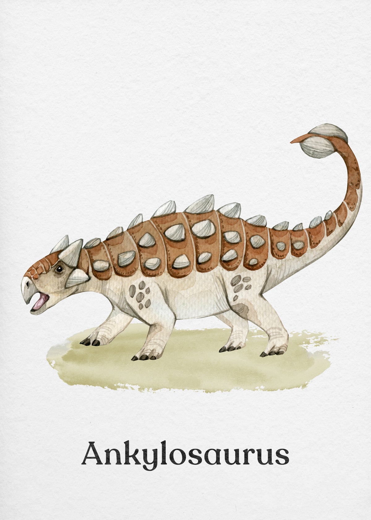 Ankylosaurus - Unframed art print