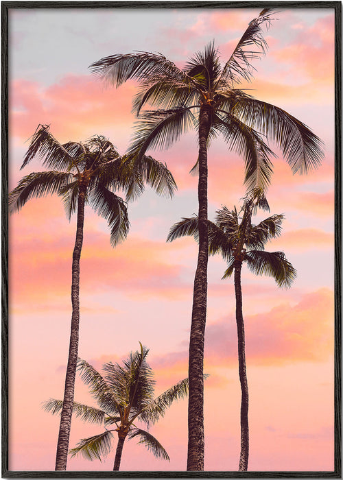 Quadro paisagem palmeiras ao pôr do sol