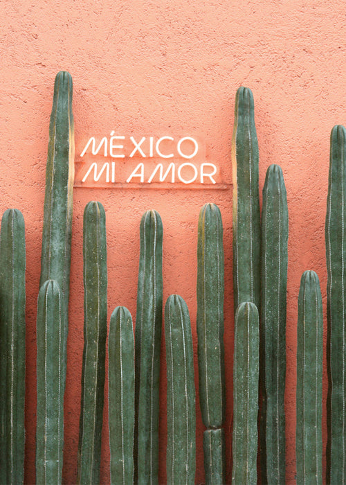 Estampa botânica México cactos e néon