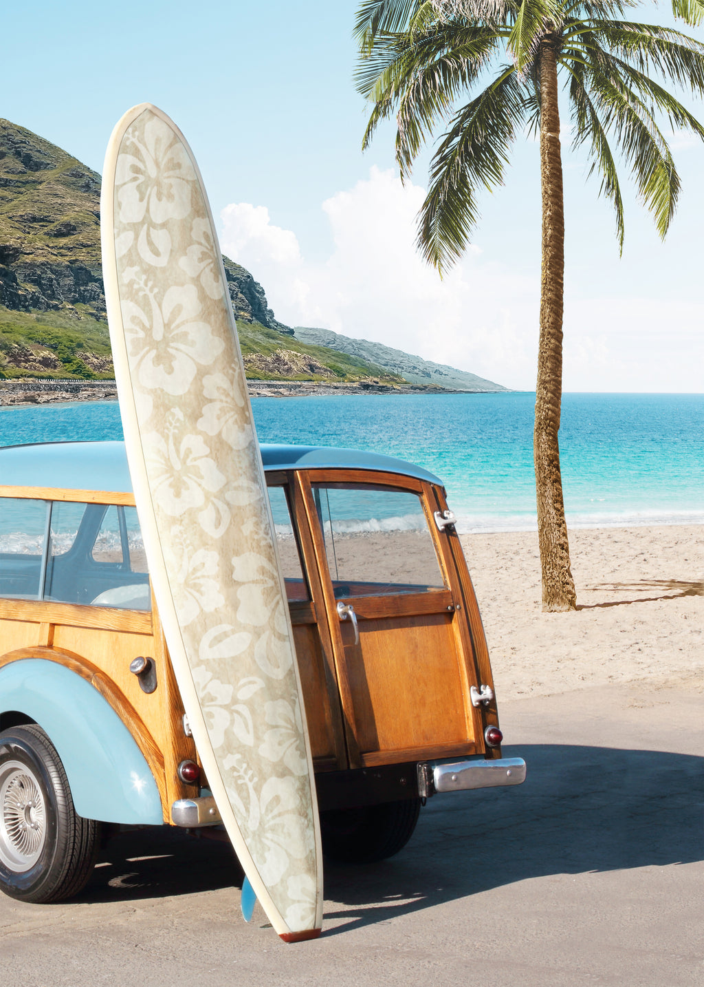 Pura Vida - Unframed art print