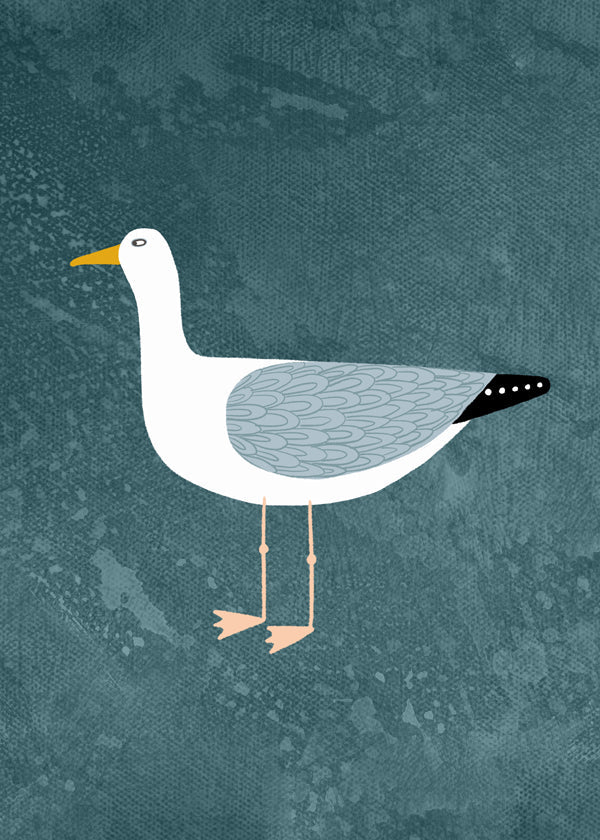 Seagull