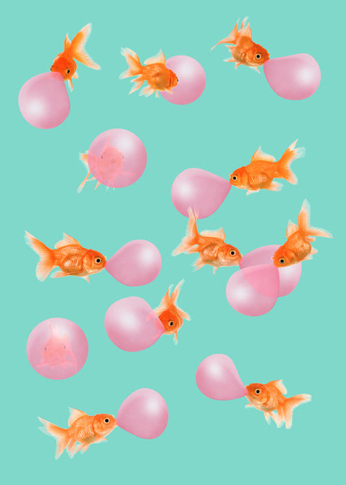 Quadro peixe dourado com bolhas rosas