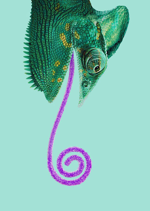 Quadro camaleão verde com língua em espiral