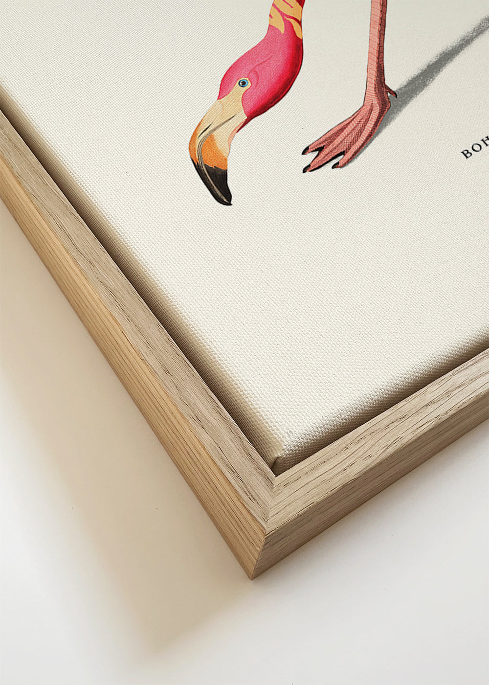 Ilustração flamingo boho