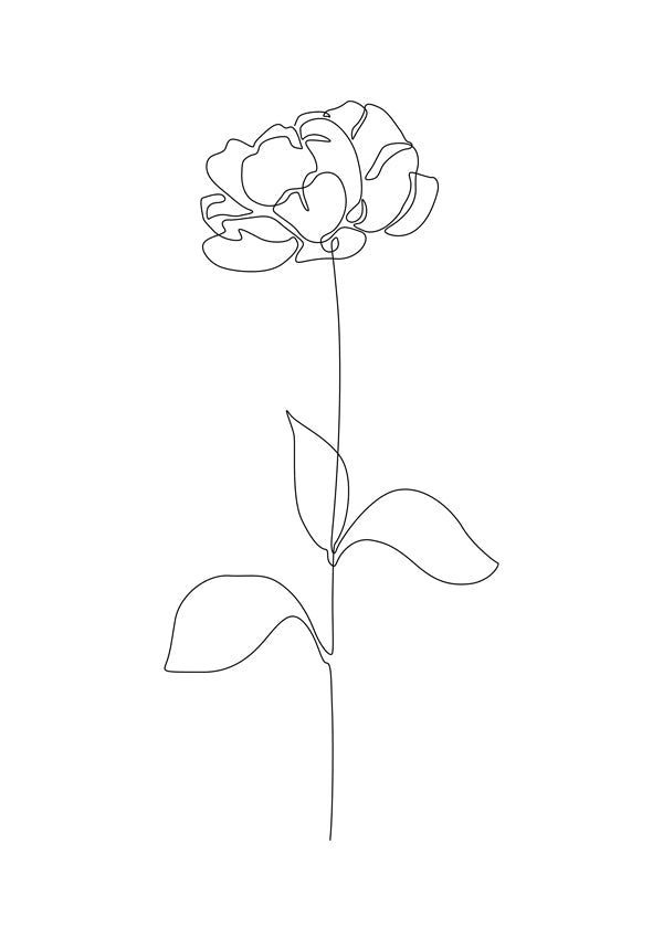 Peony