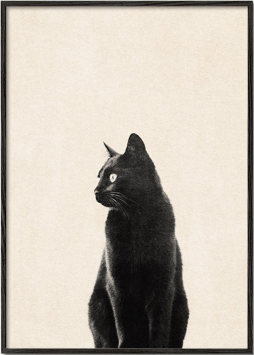 Quadro gato preto de perfil
