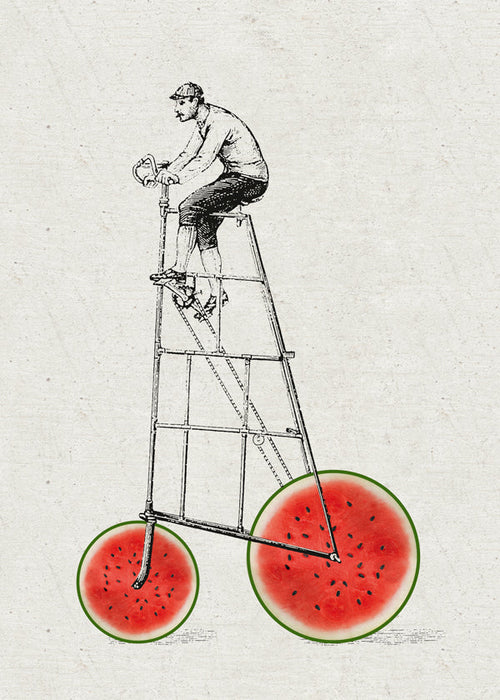 Arte para cozinha com bicicleta melancia