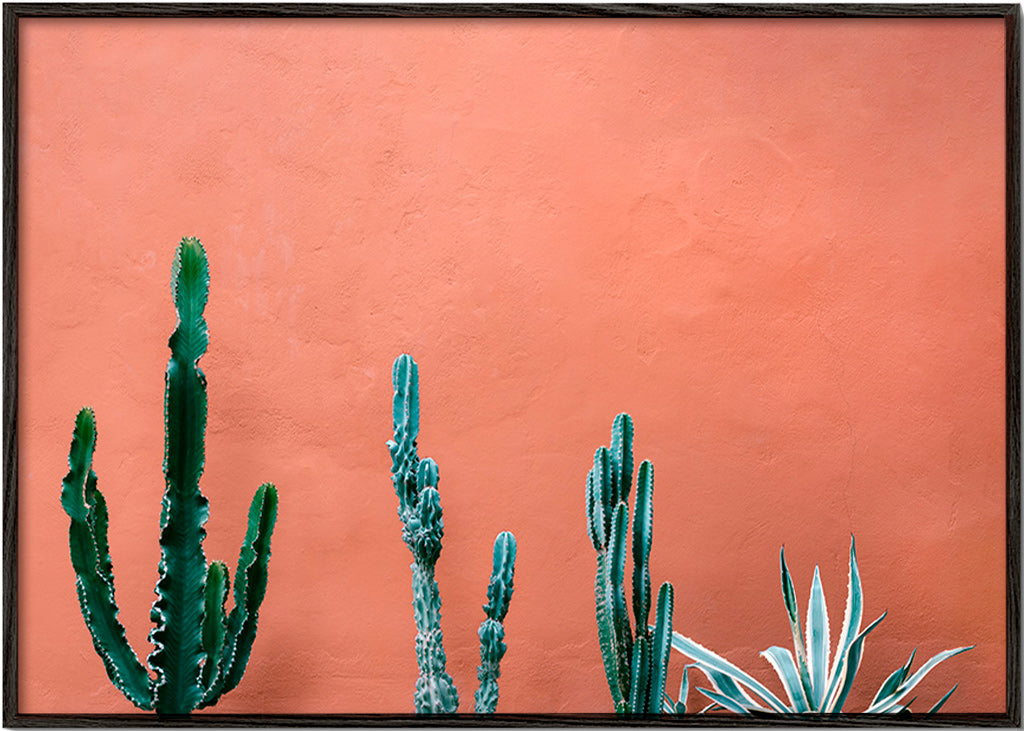 Estampa botânica com cactos em parede terracota – Black Frame