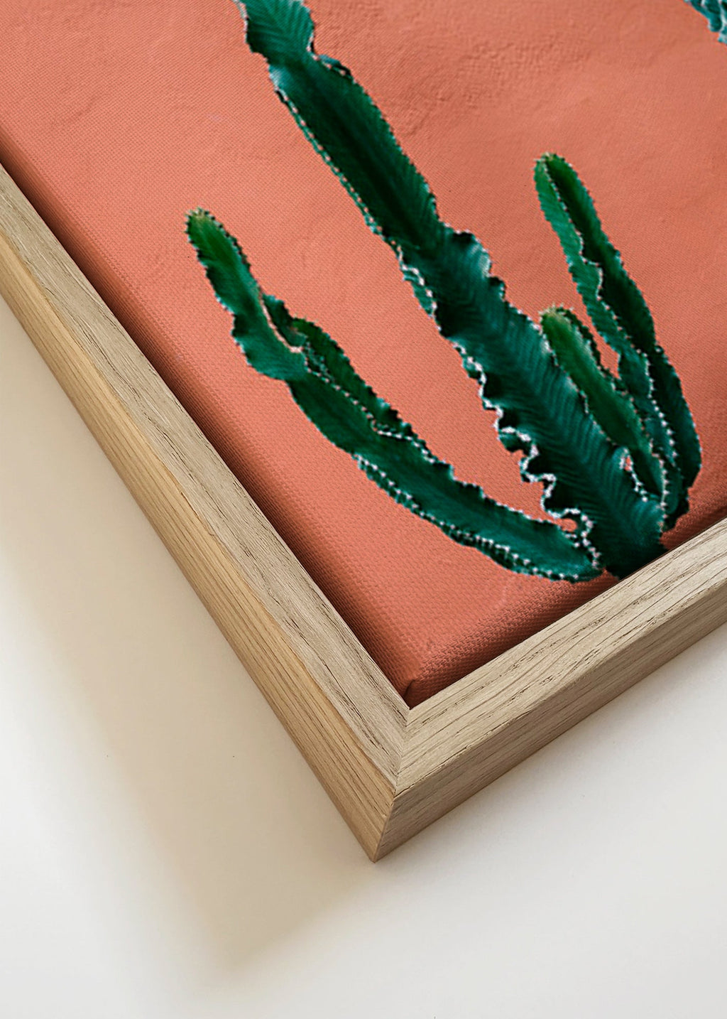Estampa botânica com cactos em parede terracota – Canvas detail