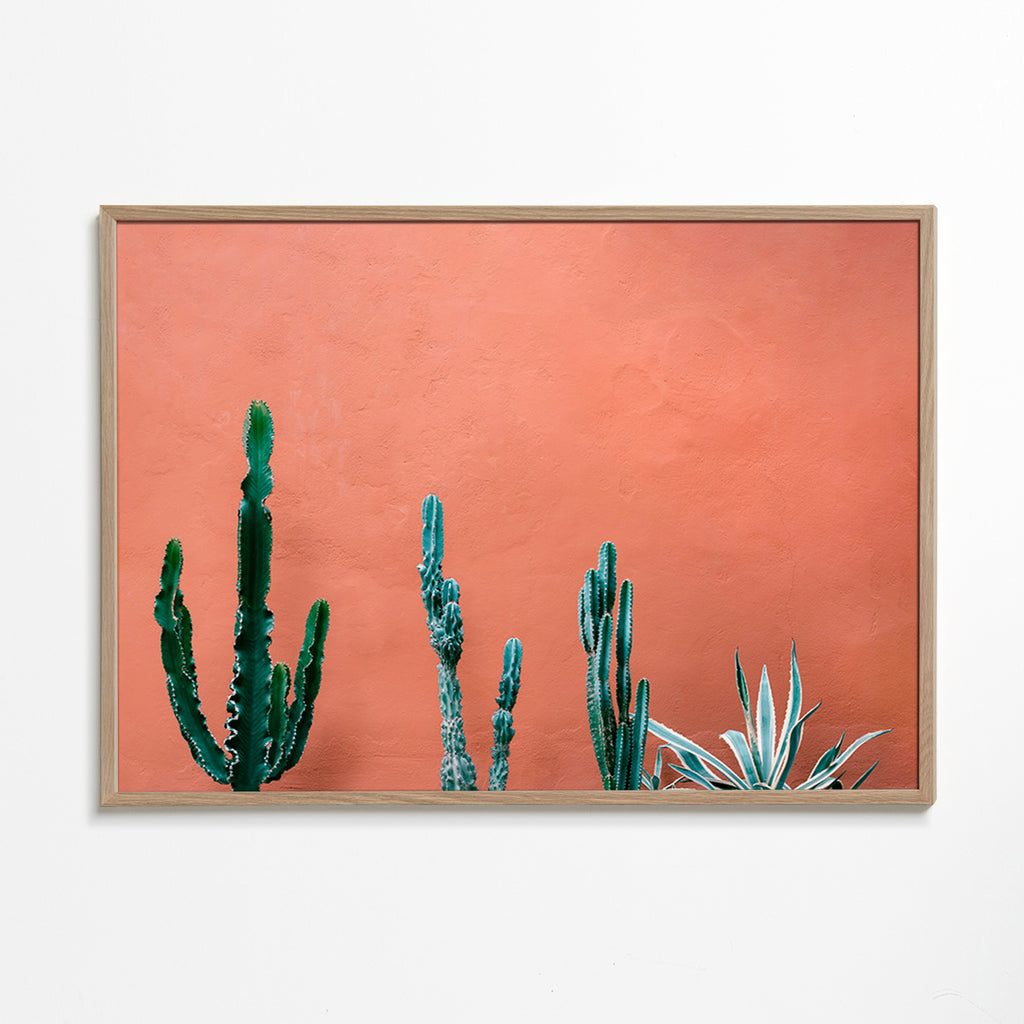 Estampa botânica com cactos em parede terracota – Oak Frame
