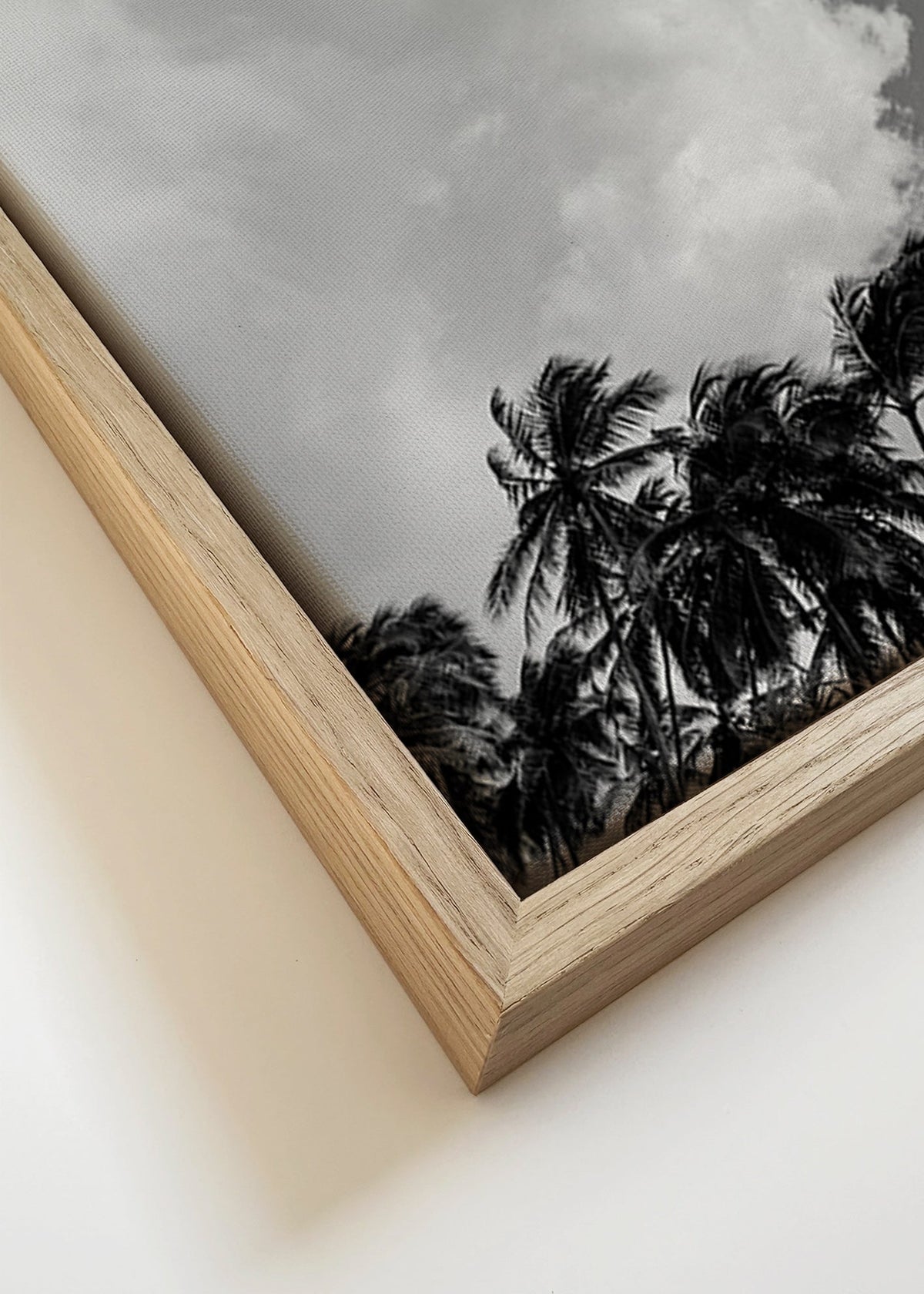 Arte para paisagem com palmeiras e céu dramático – Canvas detail