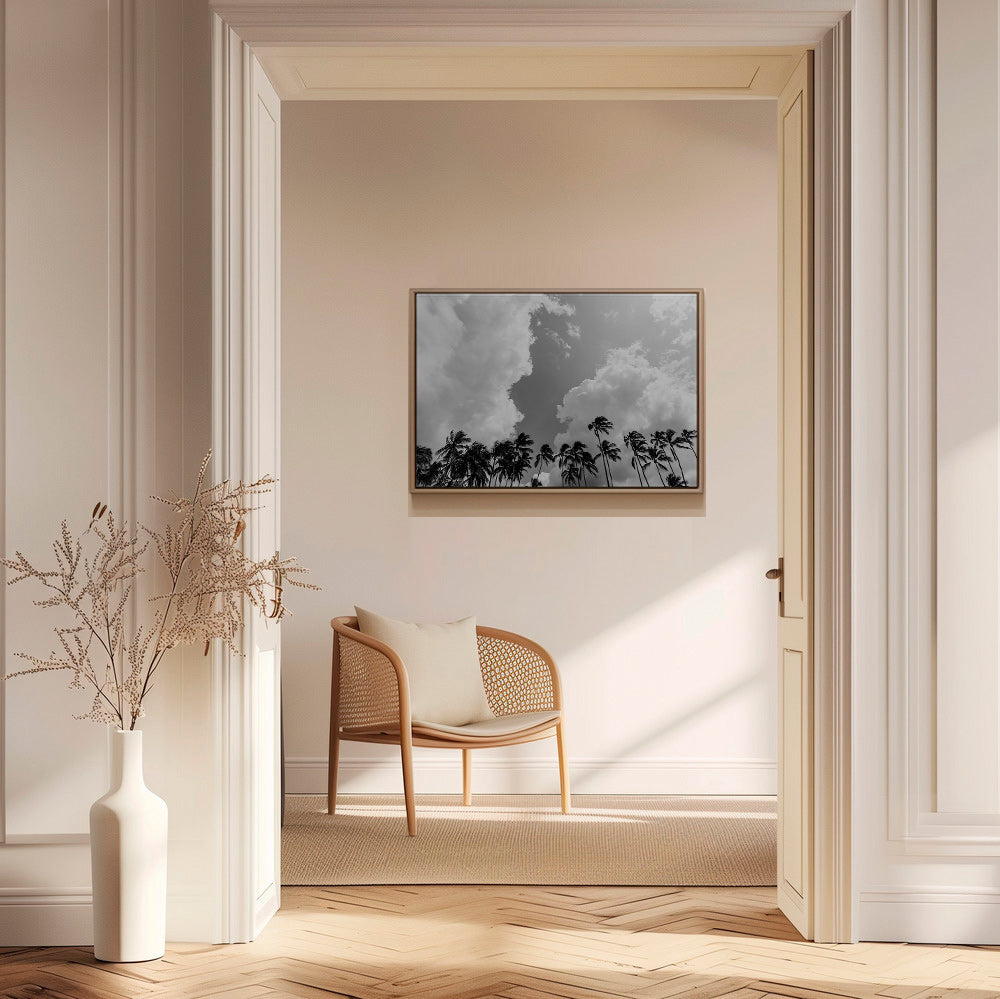 Arte para paisagem com palmeiras e céu dramático – Canvas1