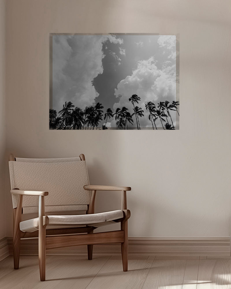 Arte para paisagem com palmeiras e céu dramático – Canvas