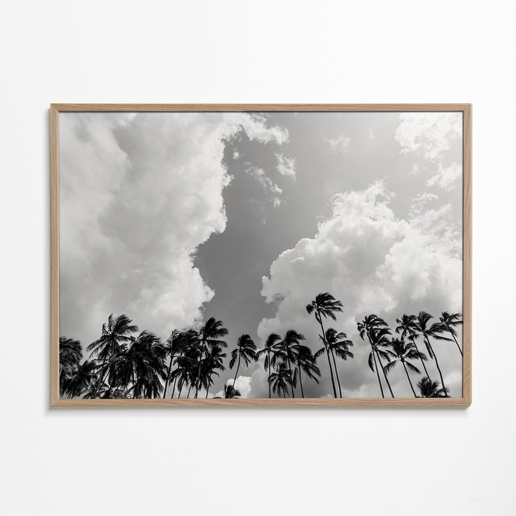 Arte para paisagem com palmeiras e céu dramático – Oak Frame