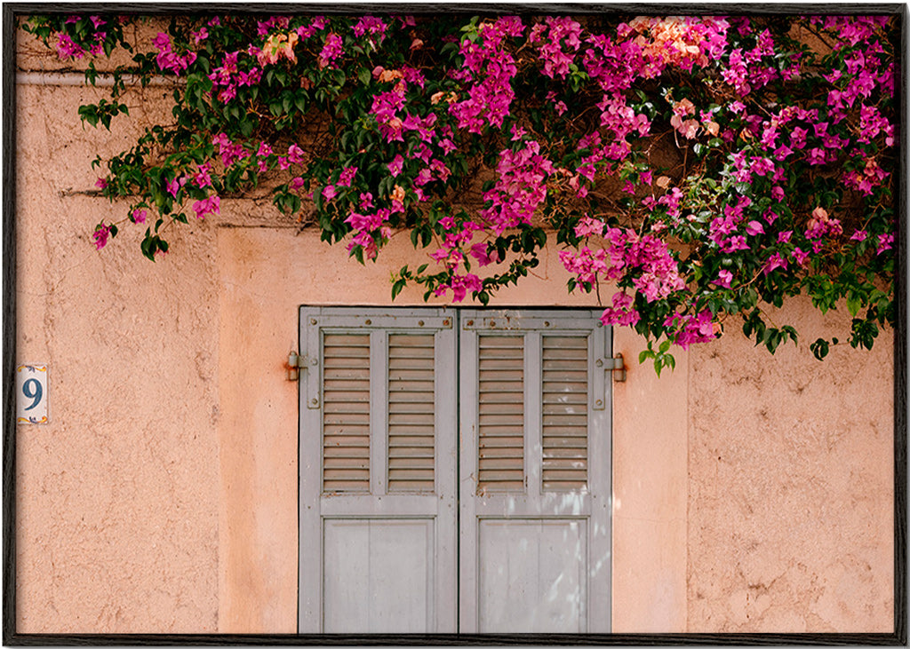 Estampa botânica: bougainville na porta antiga – Black Frame