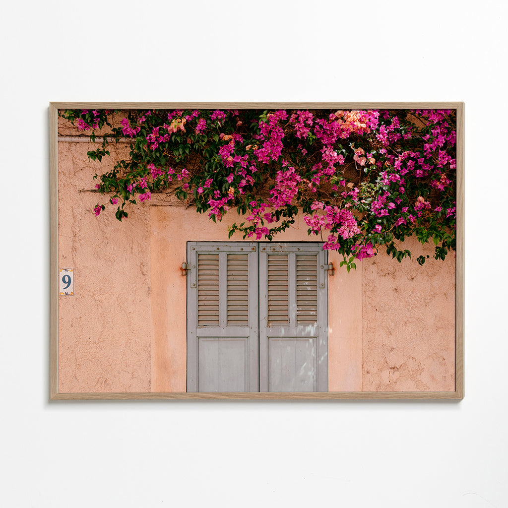 Estampa botânica: bougainville na porta antiga – Oak Frame