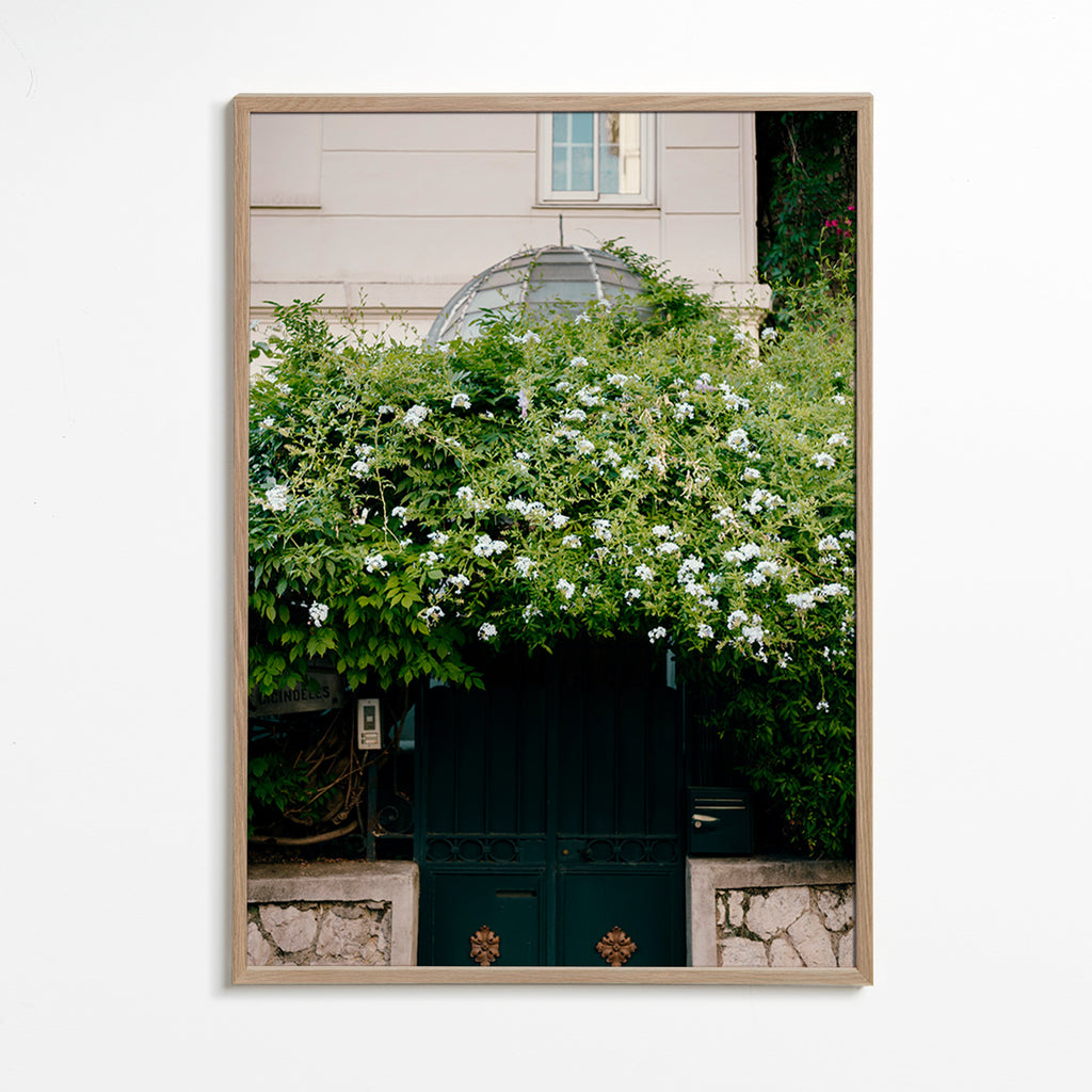 Estampa botânica com trepadeira branca na entrada – Oak Frame