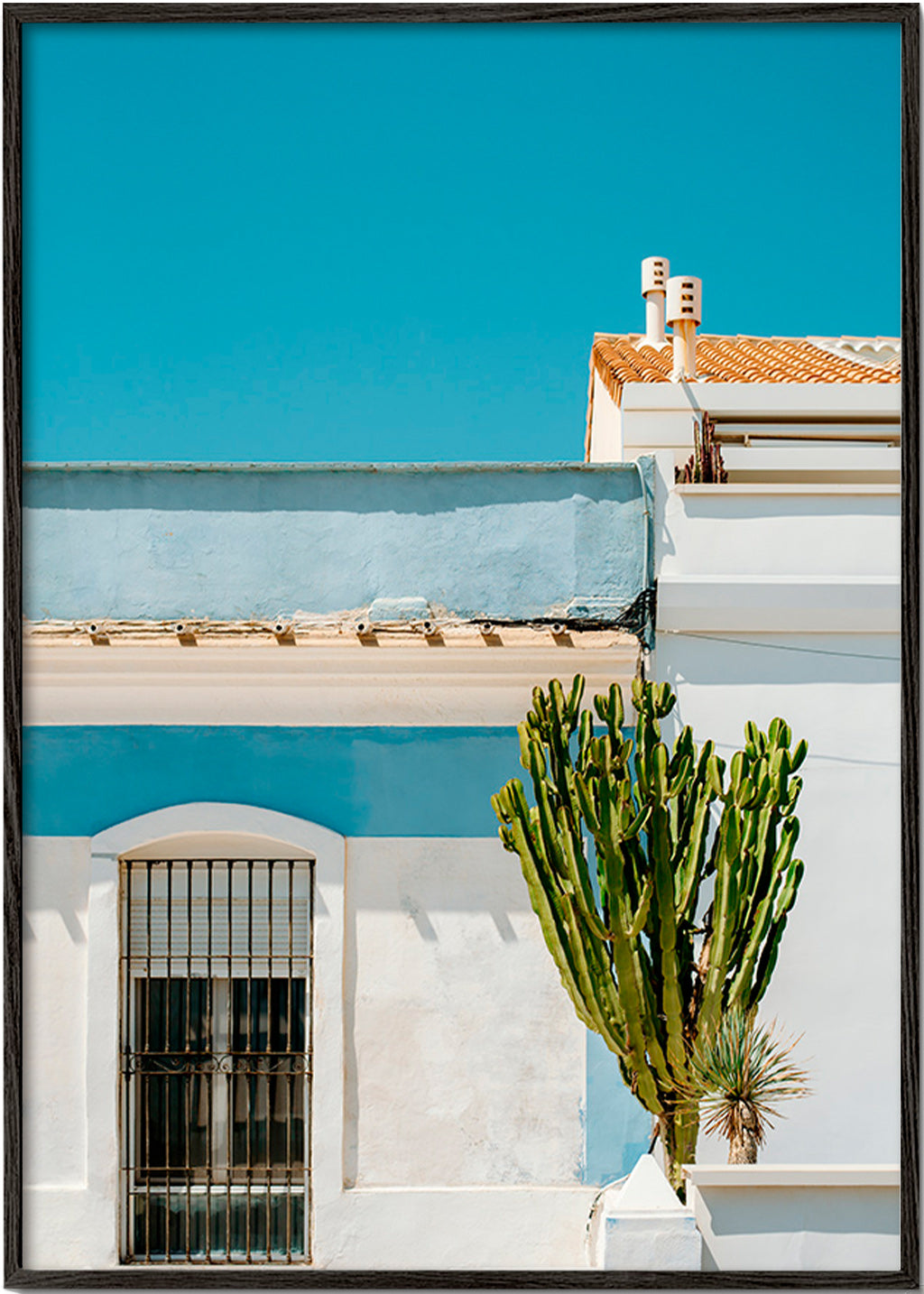 Estampa botânica: fachada mediterrânea com cacto – Black Frame