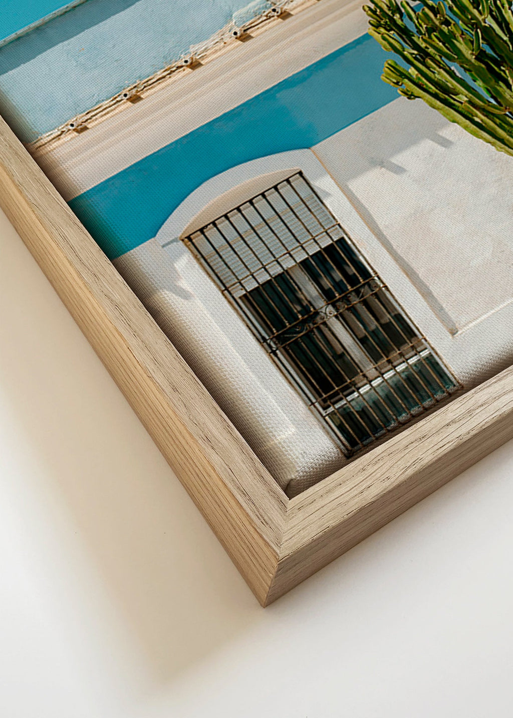 Estampa botânica: fachada mediterrânea com cacto – Canvas detail