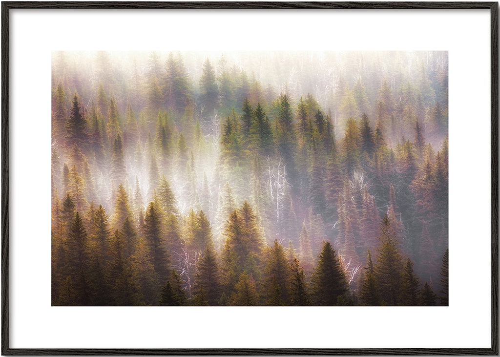 Untitled 2