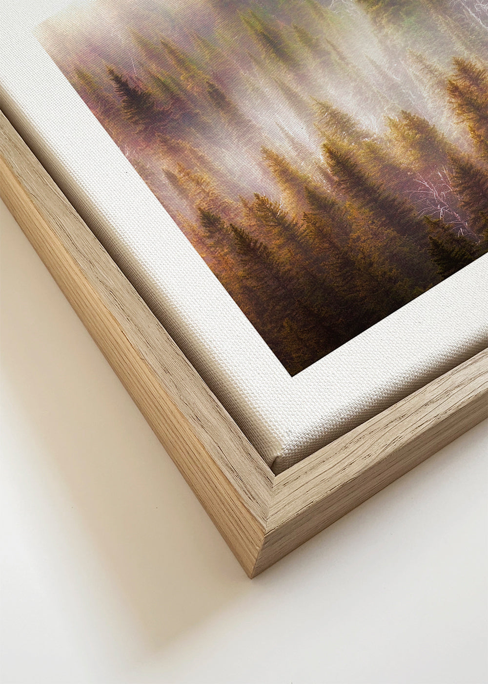 Arte paisagística: floresta nevoenta ao amanhecer