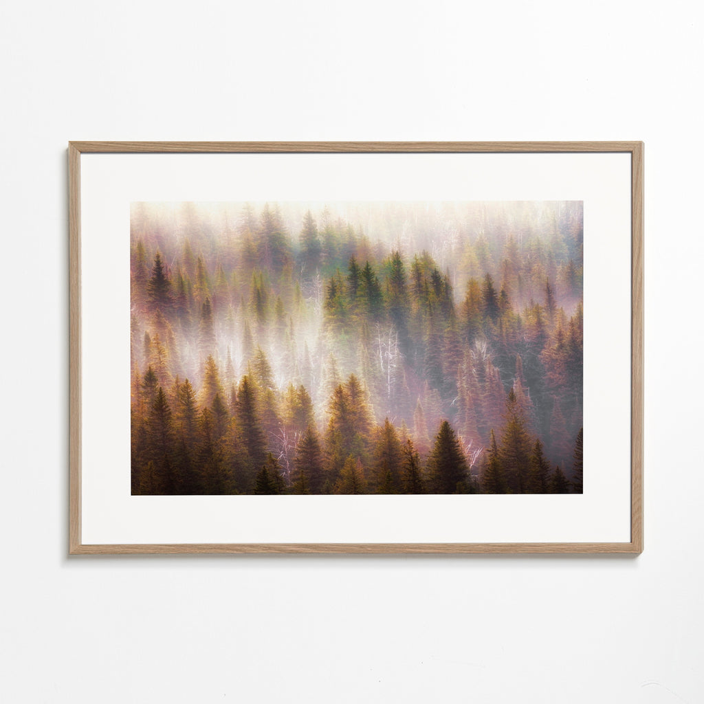 Untitled 2