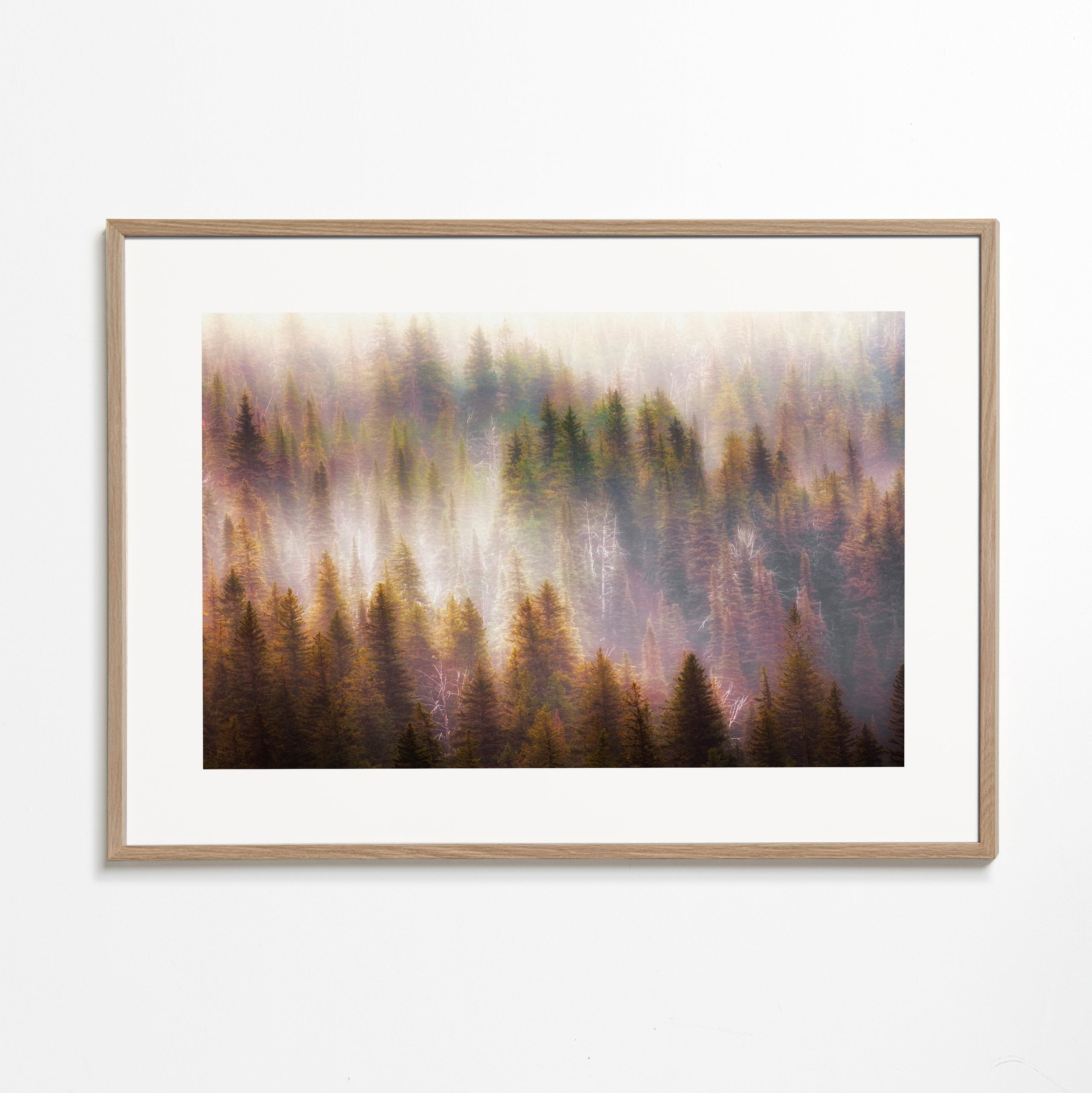 Untitled 2