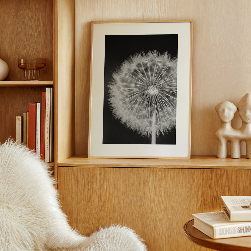 Dandelion