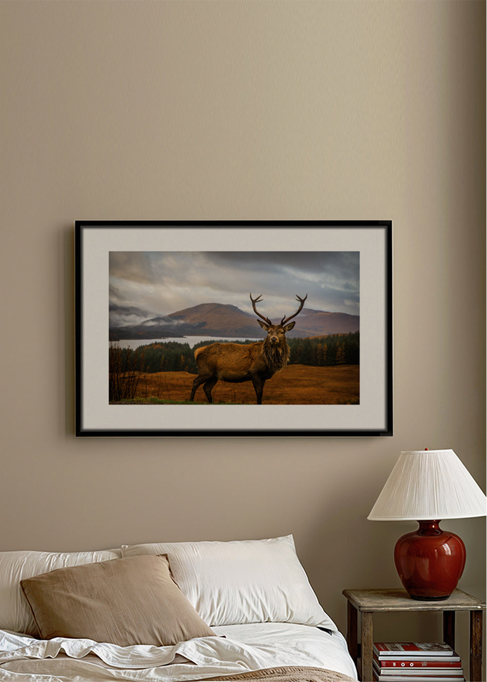 Scottish Stag