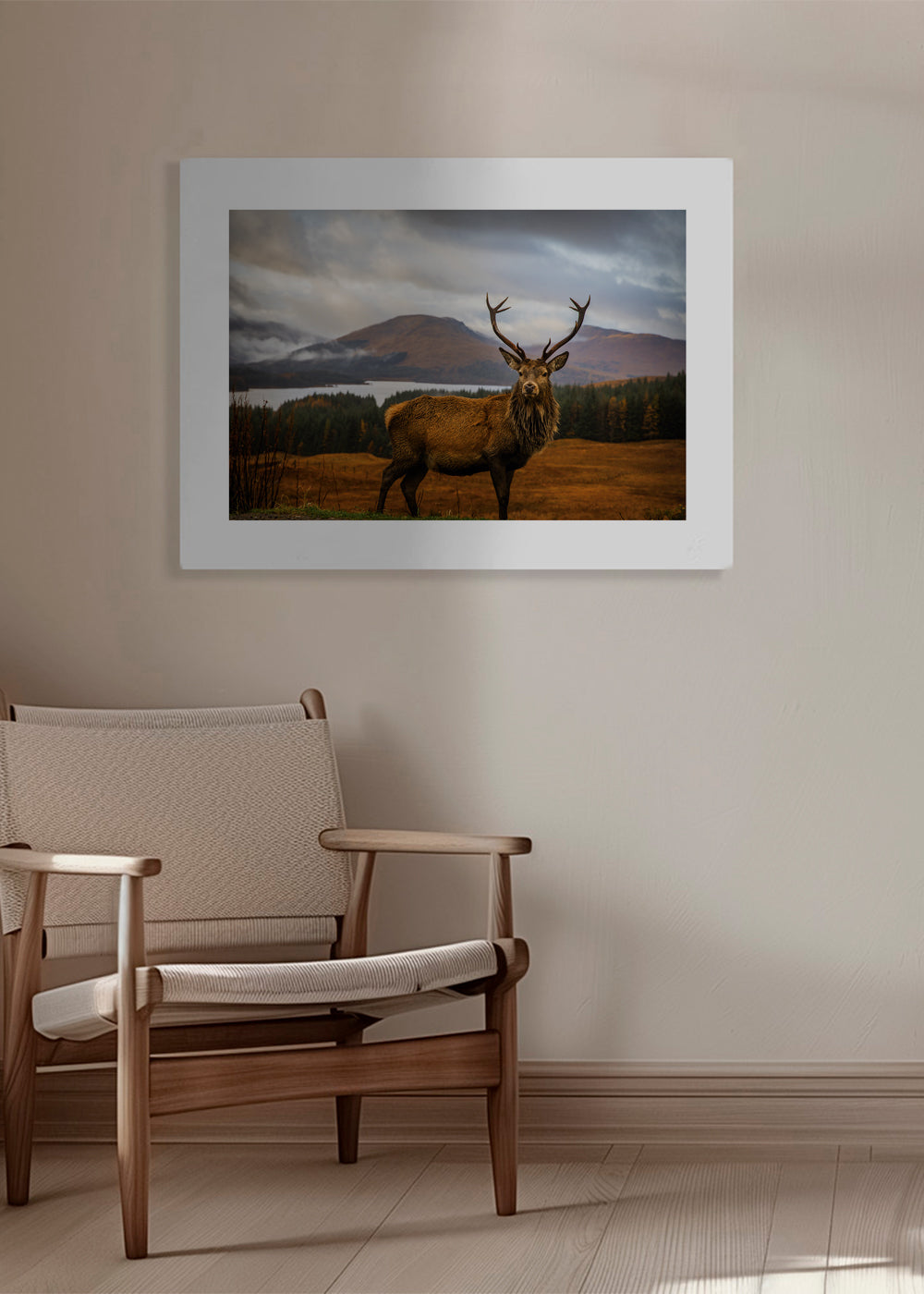Scottish Stag