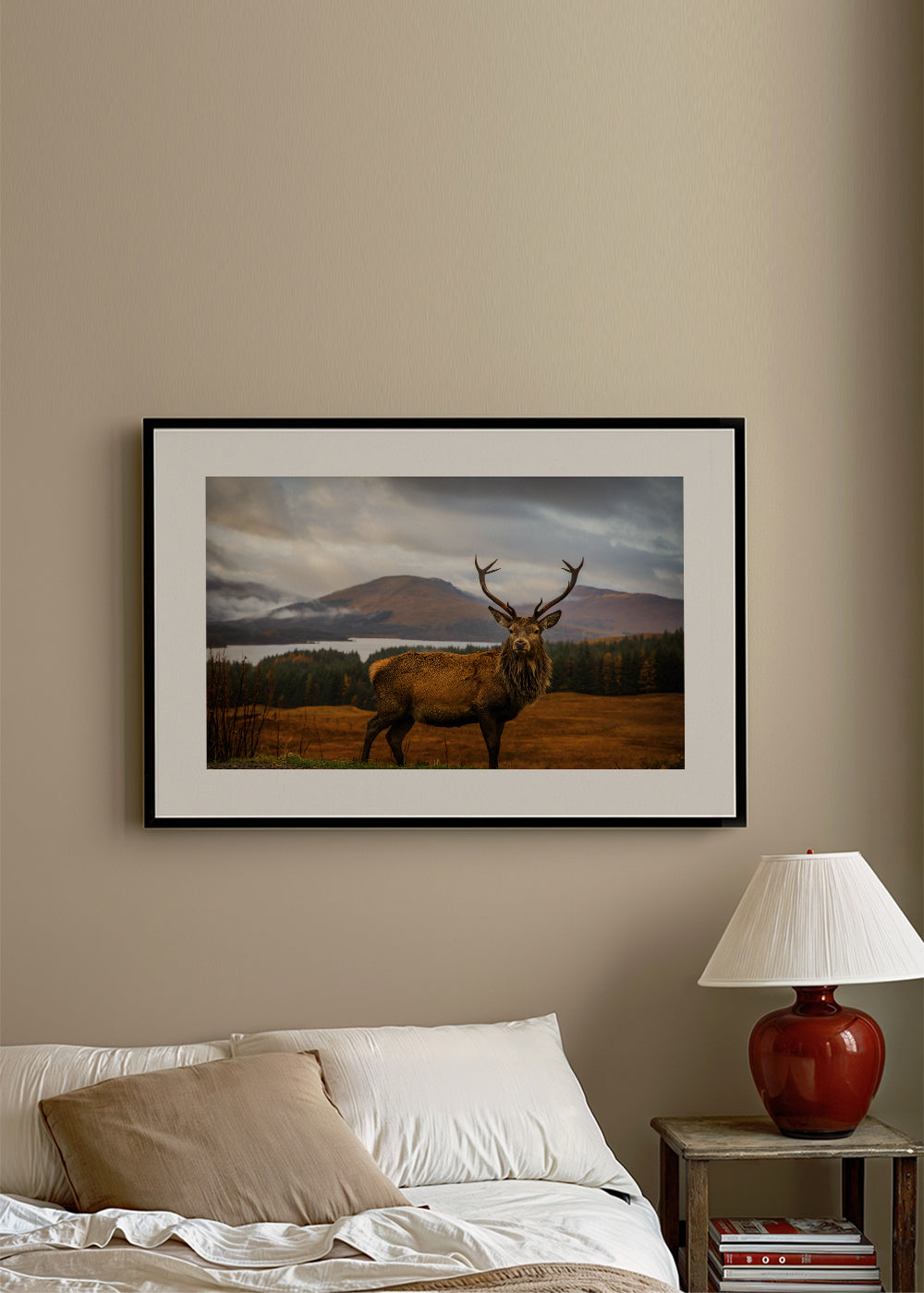 Scottish Stag