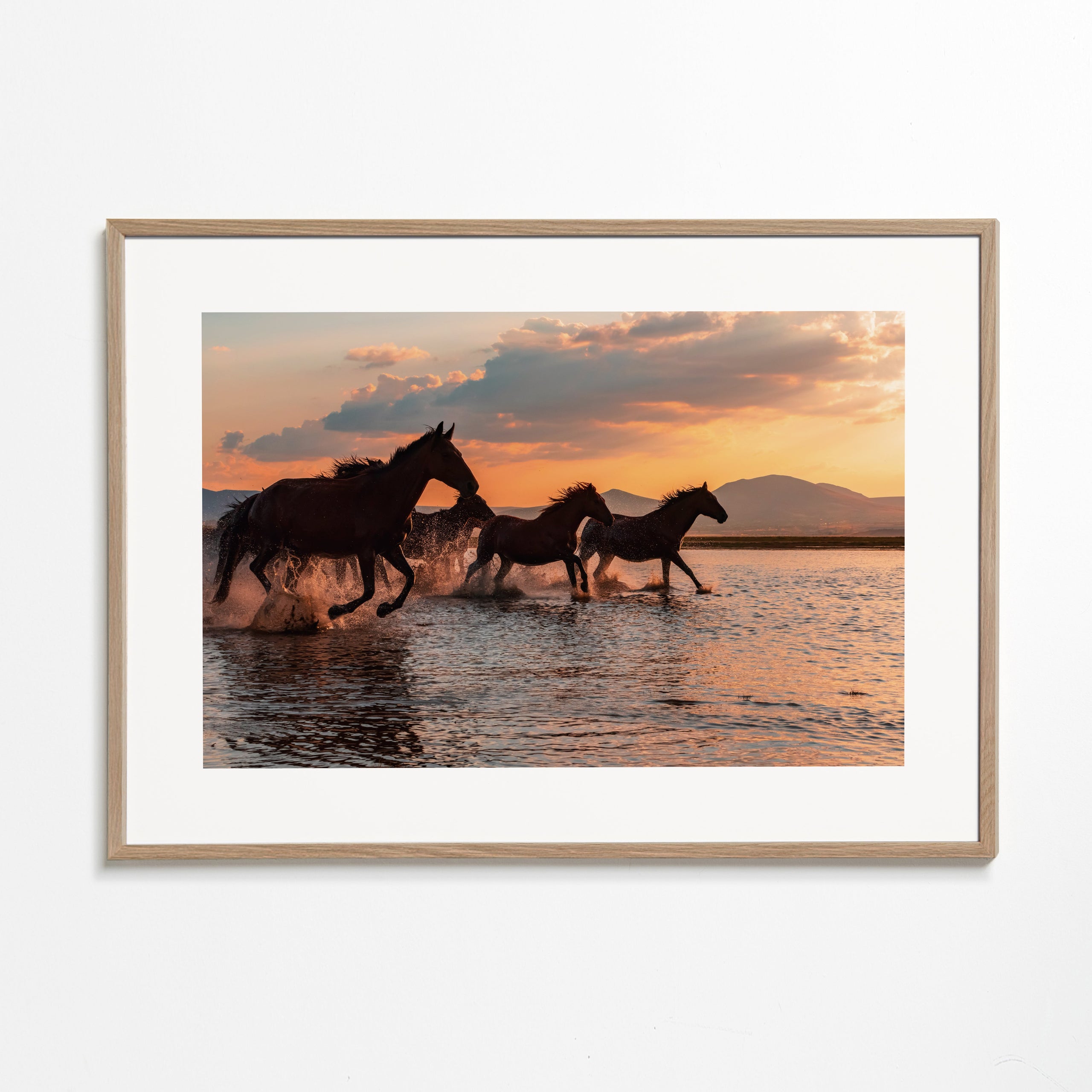 WATER HORSES