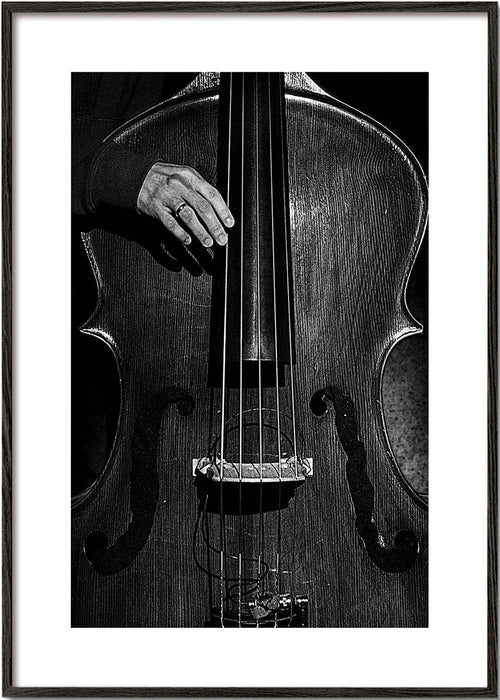 Fotografia de contrabaixo em preto e branco