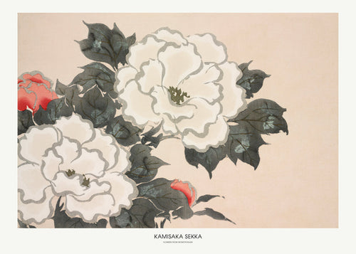 Estampa botânica: estudo floral japonês