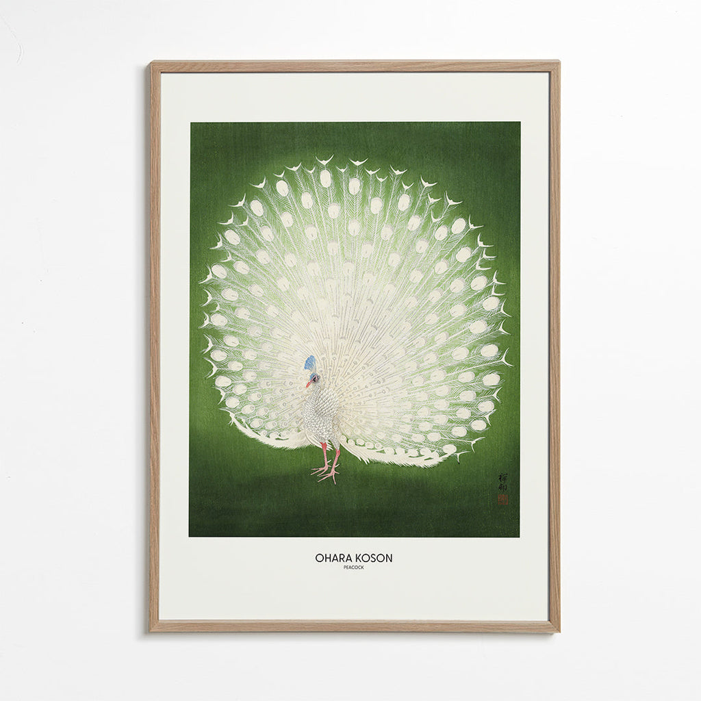 Peacock - Wide