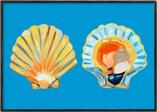 Ilustração de conchas em fundo azul