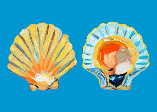 Ilustração de conchas em fundo azul