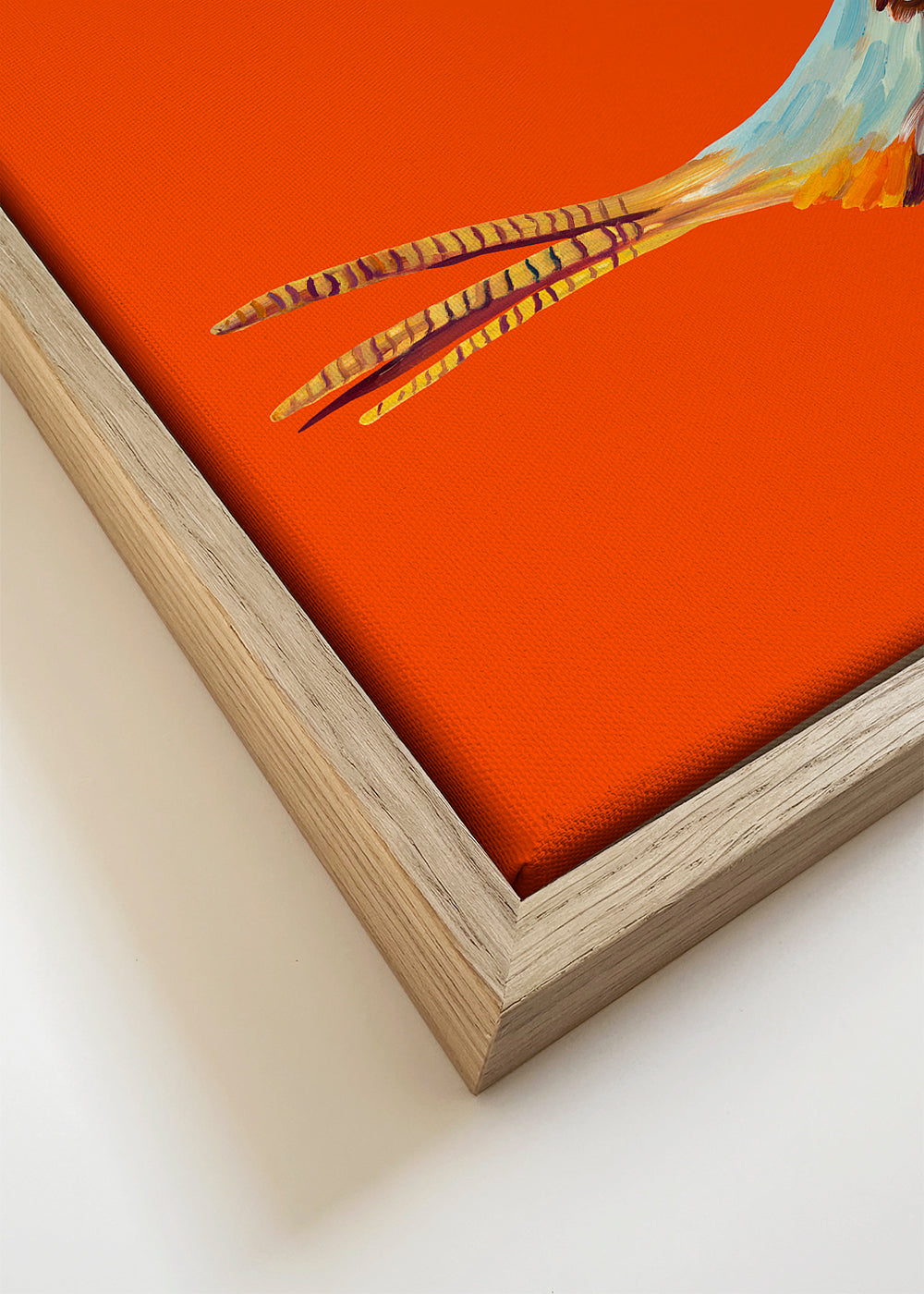 Quadro faisão sobre fundo laranja
