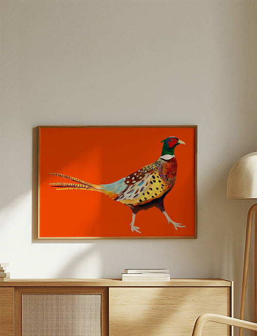 Quadro faisão sobre fundo laranja