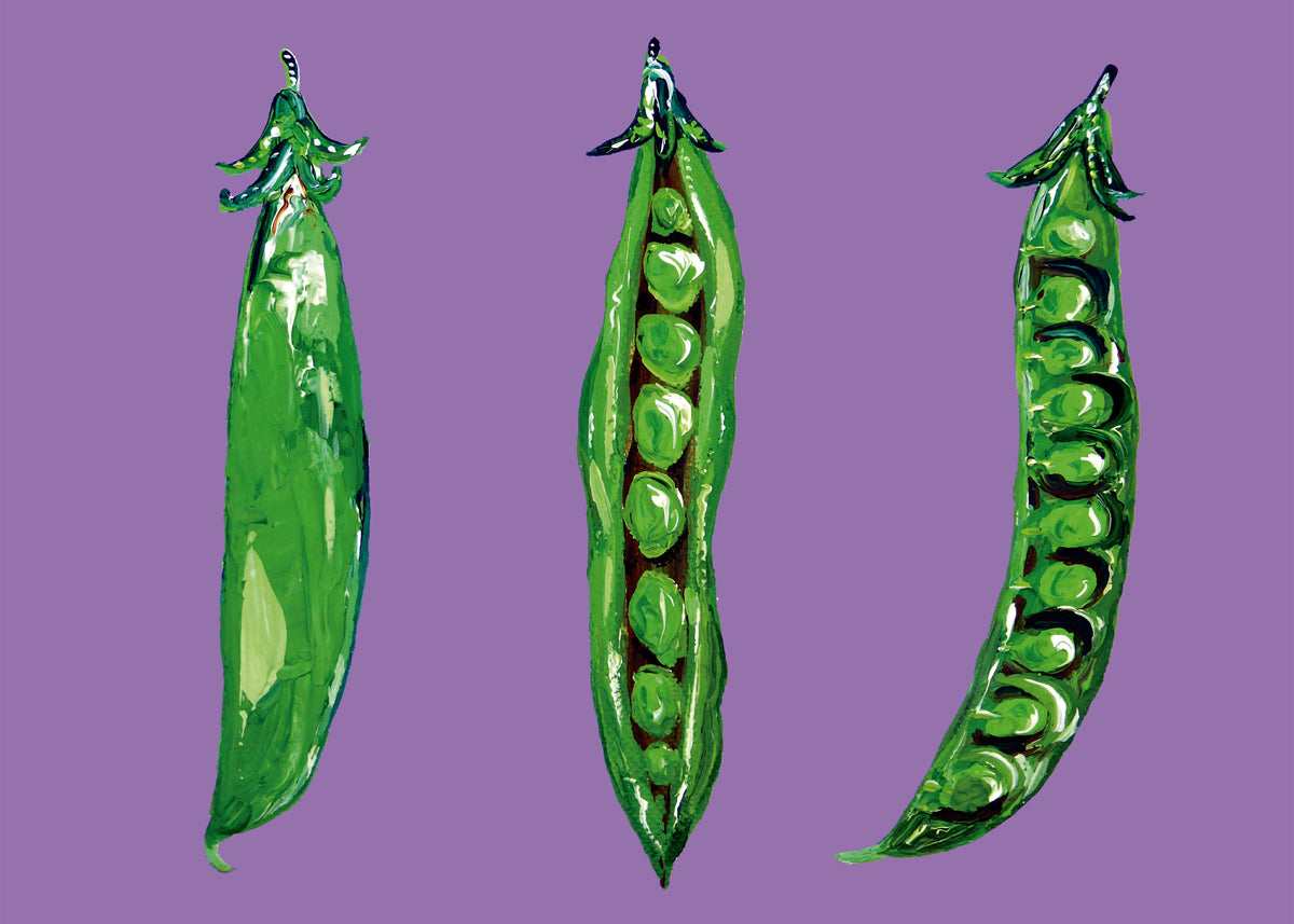 Peas In a Pod - Unframed art print