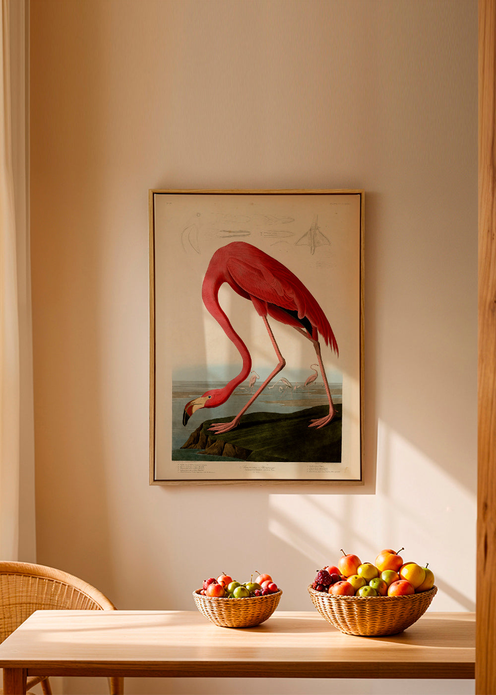 Quadro flamingo vermelho estilo Audubon