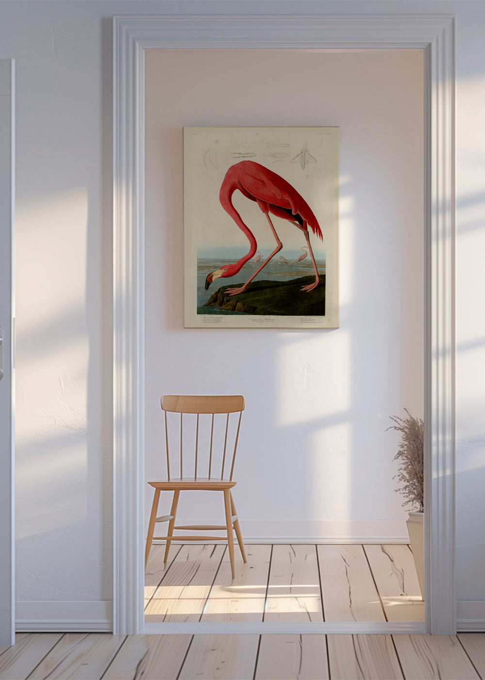Quadro flamingo vermelho estilo Audubon