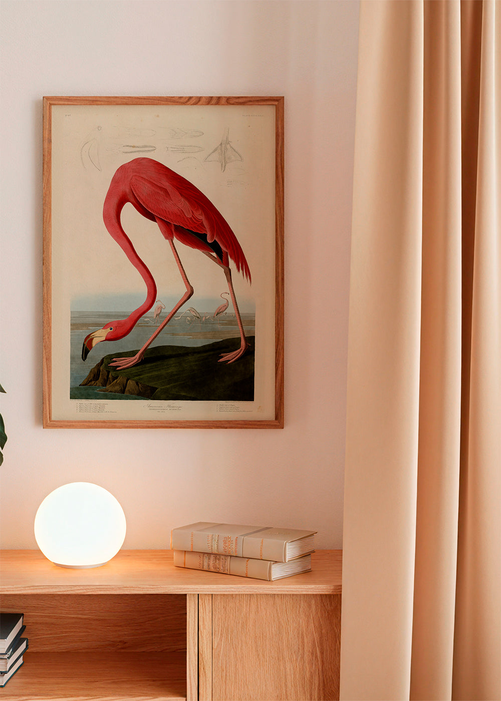 Quadro flamingo vermelho estilo Audubon