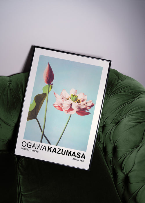 Lotus Flowers (Special Edition) - Ogawa Kazumasa - Framed poster in an interior
